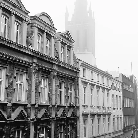 W Fabryce Czekolady Daire Bytom